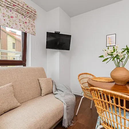 Mierzeja - Przy Marinie, 100 M Od Zalewu Wiślanego, Apartament *